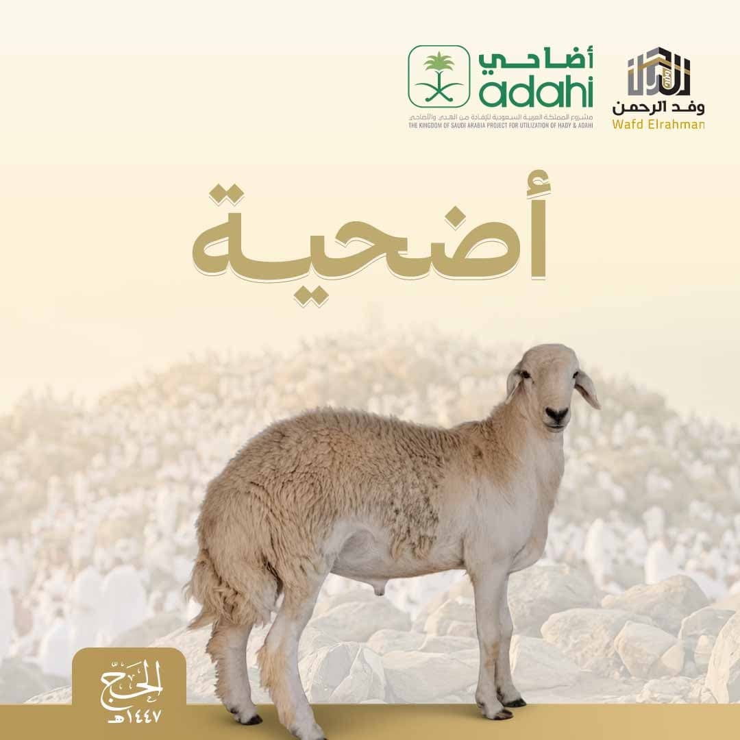 الأضحية 