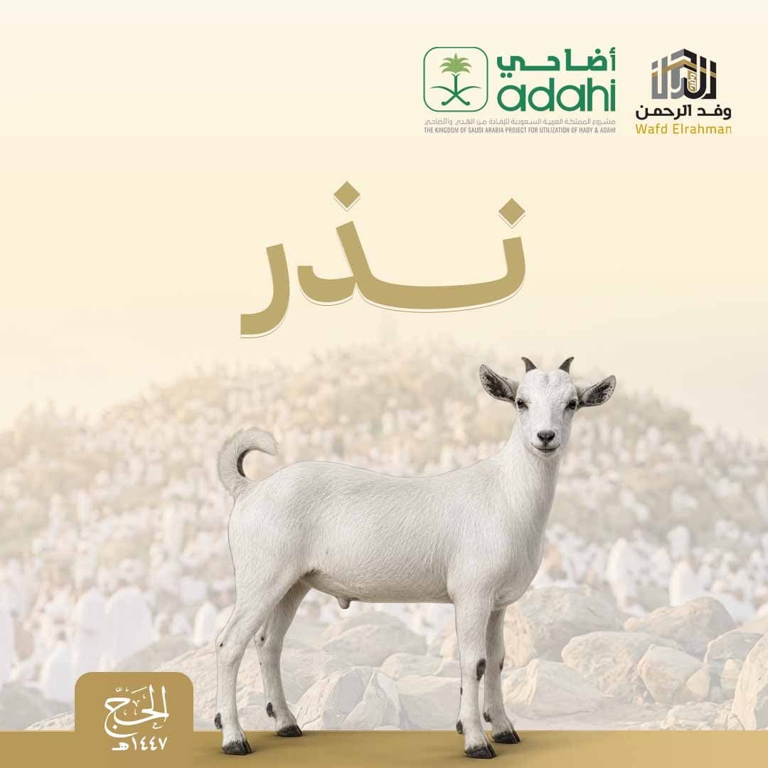 النذر 